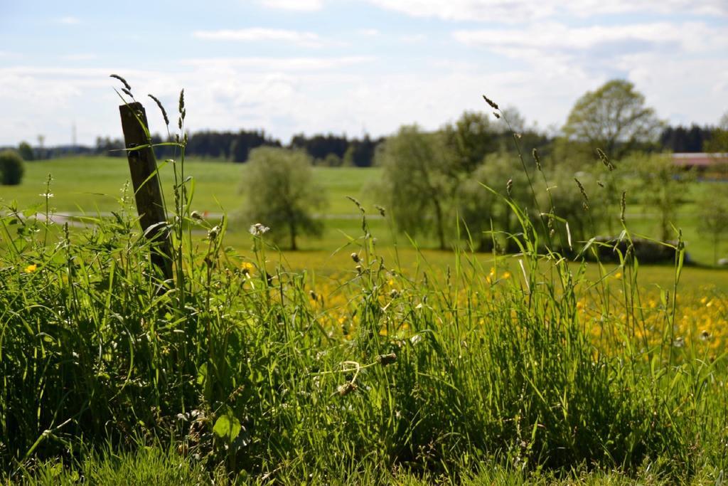 Tannenhof Epple Opfenbach
